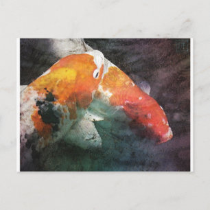 Koi Vykort