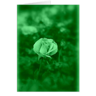 Koinonia "Fellowship on the Väg" OBS Kort