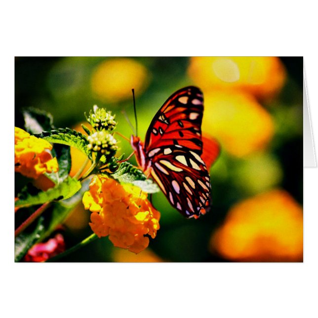 Koinonia   "gemenskap på vägen ", hälsningskort (Framsidan Horizontal)