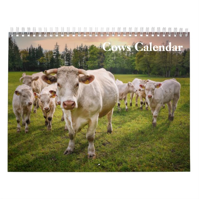 Kojulia 2027 Kalender (Omslag)