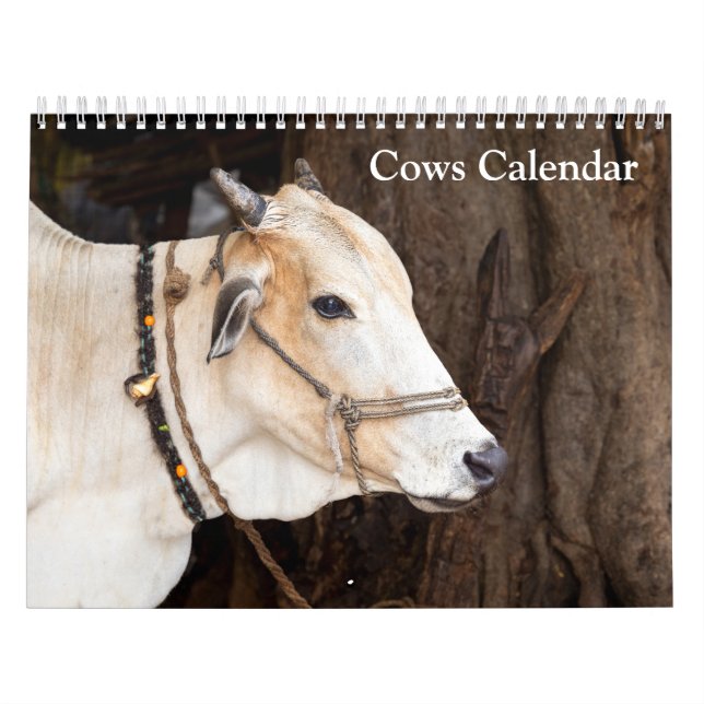 Kojuliaaneder 2027 Kalender (Omslag)