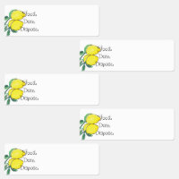 Kök Organisation Citron Mat Etiketter 