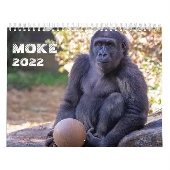 Koka 2022-kalender kalender (Omslag)
