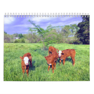 Kokalender Kalender