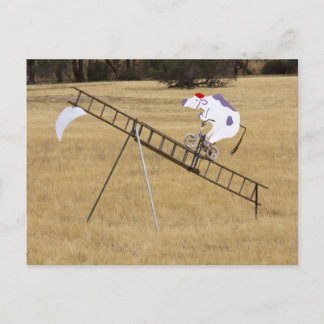 Kokan snubblade över Måne Vykort