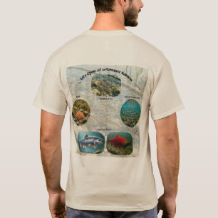 Kokanee Lax Livscykel Grafisk T Shirt