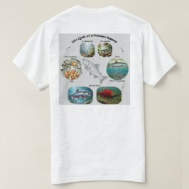 Kokanee-laxens livscykel-grafik t shirt
