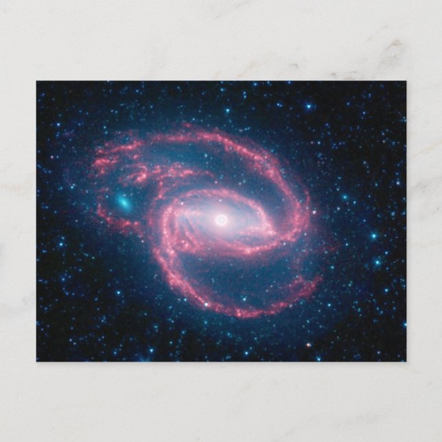 Kokat Galaxy-vykort Vykort (Framsida)