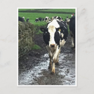 "Kökens Kom hem Vykort