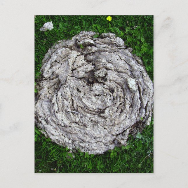 Kokens Saker Vykort (Framsida)