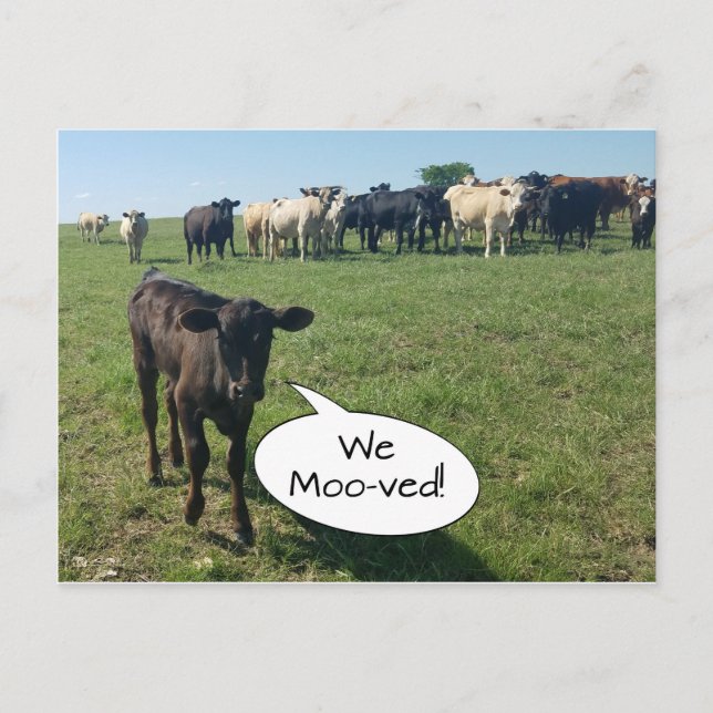 Kokförändring i Adress som vi flyttade Vykort (Framsida)