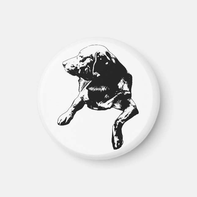 Kökhörnkontur: Labrador Magnet (Framsidan)