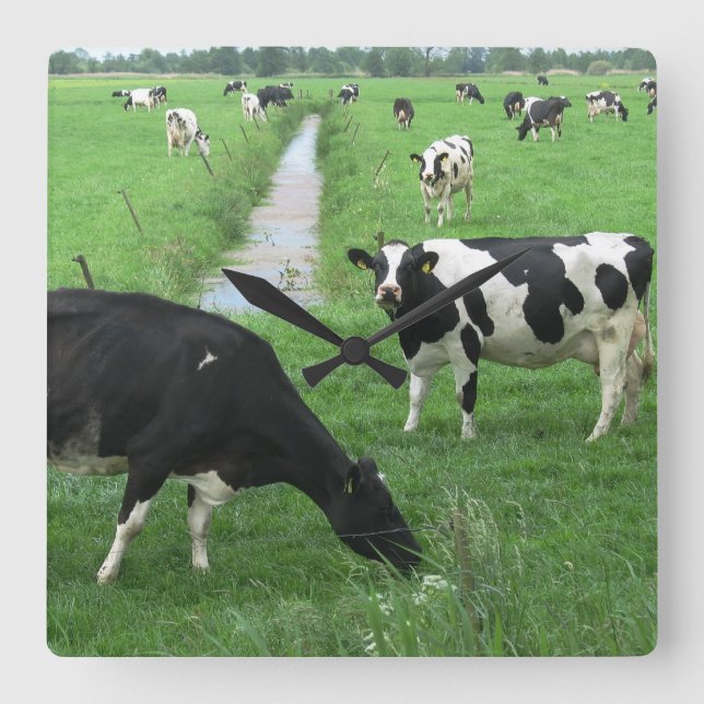 Koklåda Fyrkantig Klocka (Framsida)