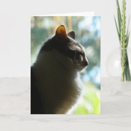 "Koko i fönstret."  Mottagningskort Kort