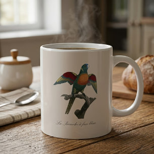 Kokoslorikit, Trichoglossus haematodus Kaffemugg