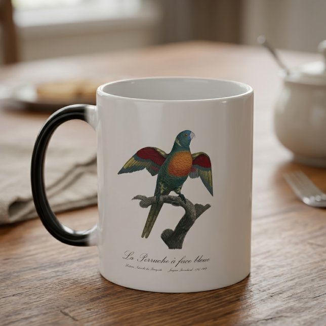 Kokoslorikit, Trichoglossus haematodus Magisk Mugg (Coconut Lorikeet, Trichoglossus haematodus. Color Morph Mug)