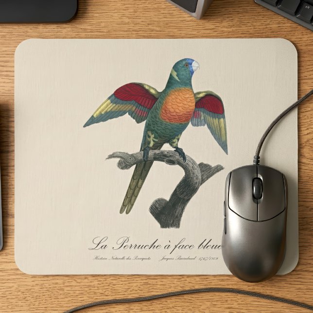 Kokoslorikit, Trichoglossus haematodus Musmatta (Coconut Lorikeet, Trichoglossus haematodus. Mouse Pad)