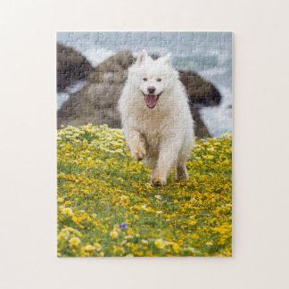 Kokosnöt - Blommor Pussel