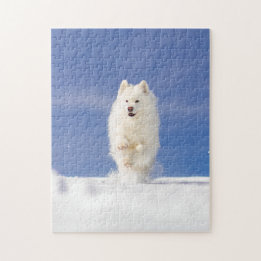 Kokosnöt - Snö Björn Pussel
