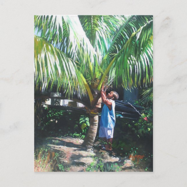 Kokosnöten skuggar 2014 vykort (Framsida)