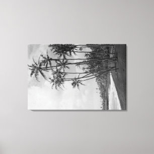 Kokosnöthandflatan - hawaianska öar fotograferar canvastryck