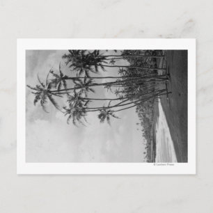 Kokosnöthandflatan - hawaianska öar fotograferar vykort