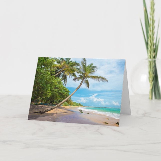 Kokosnöthandflatan, Mirissa strand | Sri Lanka Kort (Framsida)