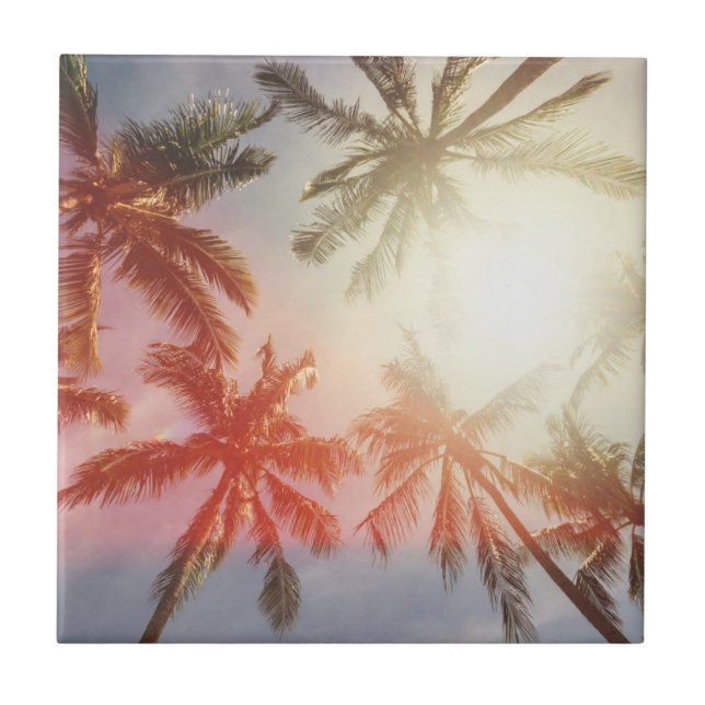 Kokosnötpalmträd mot solen kakelplatta (Framsidan)