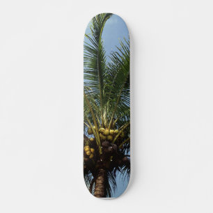 Kokosnötpalmträd Old School Skateboard Bräda 21,6 Cm