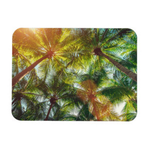 Kokosnötpalmträd på stranden magnet
