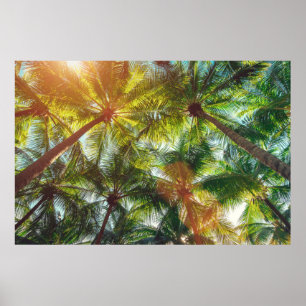 Kokosnötpalmträd på stranden poster
