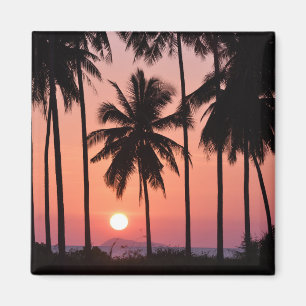Kokosnötpalmträdet landskap magnet
