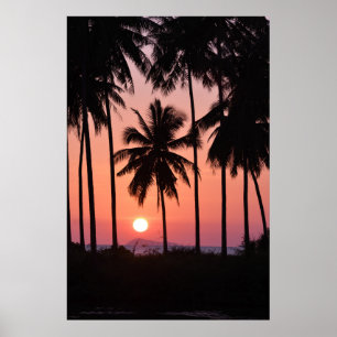 Kokosnötpalmträdet landskap poster