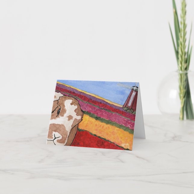 Kokosnöts Äventyr: Mjuka hälsningskort 4" x 5,6" Helgkort (Framsida)