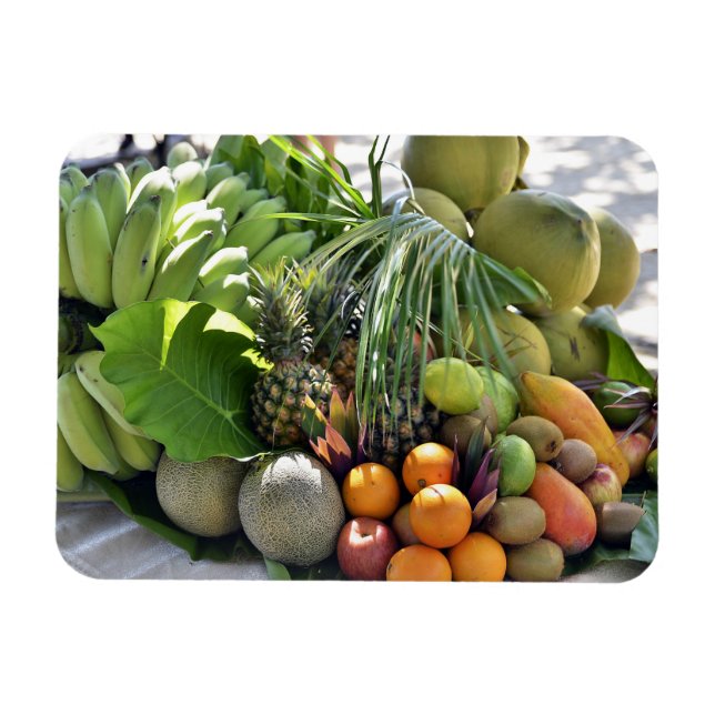 Kokosnötter, Orangar, kalk, bananer, papayas Magnet (Horisontell)