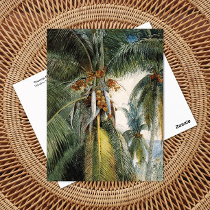 Kokospalm, Key West Winslow Homer Vykort