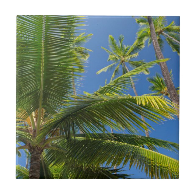 Kokospalm, Pu'uhonua o Honaunau 1 Kakelplatta (Framsidan)
