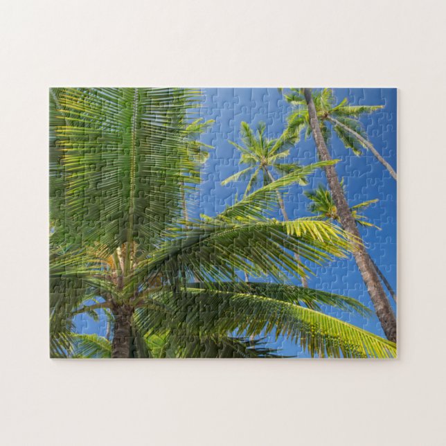 Kokospalm, Pu'uhonua o Honaunau 1 Pussel (Horisontell)