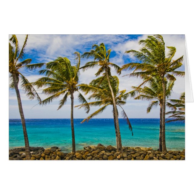 Kokospalmer (Cocos nucifera) som svajar i Hälsningskort (Framsidan Horizontal)