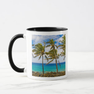 Kokospalmer (Cocos nucifera) som svajar i Mugg