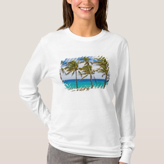 Kokospalmer (Cocos nucifera) som svajar i Tee (Framsida)