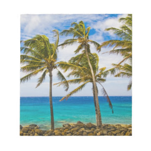 Kokospalmträd (Cocos nucifera) som svajar i Anteckningsblock
