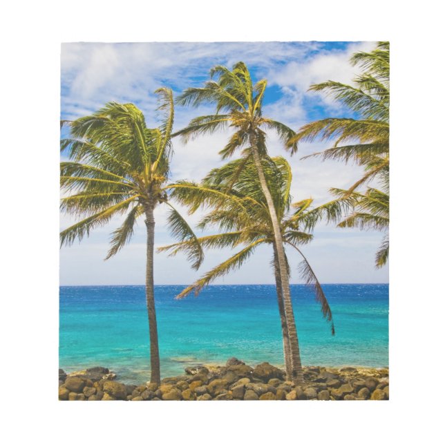 Kokospalmträd (Cocos nucifera) som svajar i Anteckningsblock (Framsida)