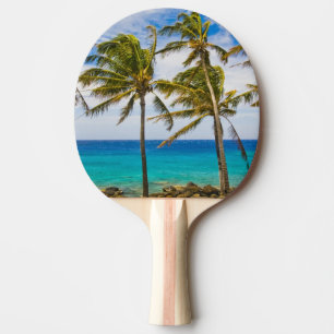 Kokospalmträd (Cocos nucifera) som svajar i Pingisracket