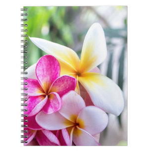 Kökrecept för opal hawaiisk blomma, bok anteckningsbok