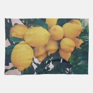 Köksduk med citrusträd kökshandduk