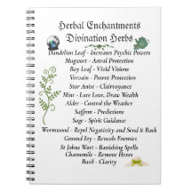 Köksfartyg Bok vid Shadows Journal