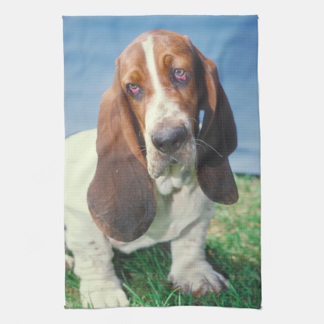 Kökshandduk för Bassethundhund (Vertikal)