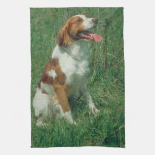 Kökshandduk för hund för Brittany Spaniel