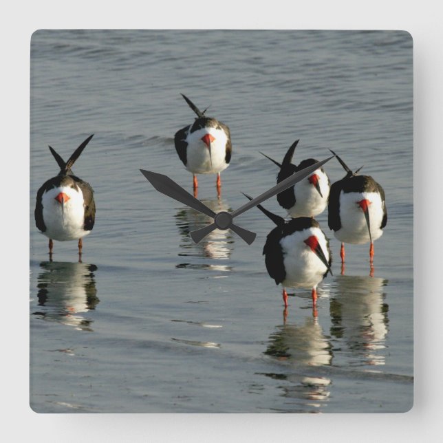 Köksväggar Fyrkantig Klocka (Framsida)